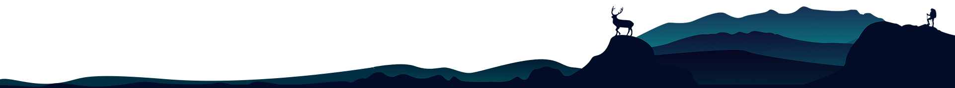 Footer Image